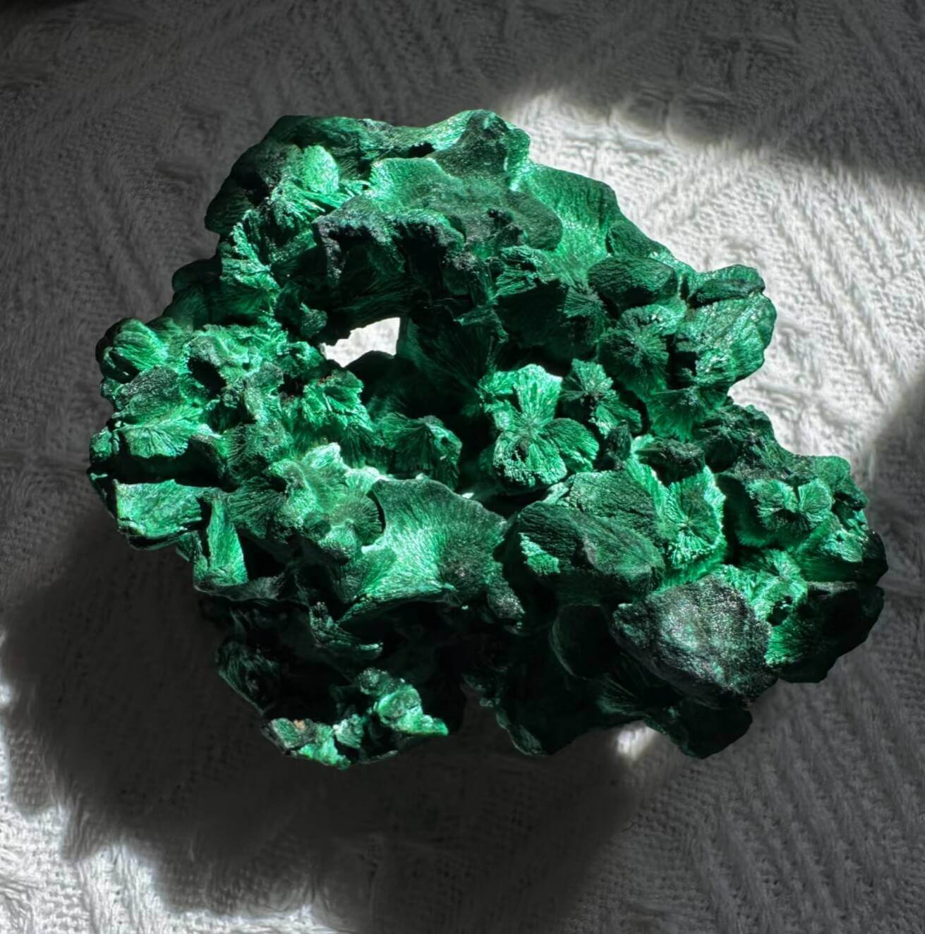 L'Armure de Velours : Pourquoi la Malachite est le Pare-feu Métaphysique de la Femme Moderne